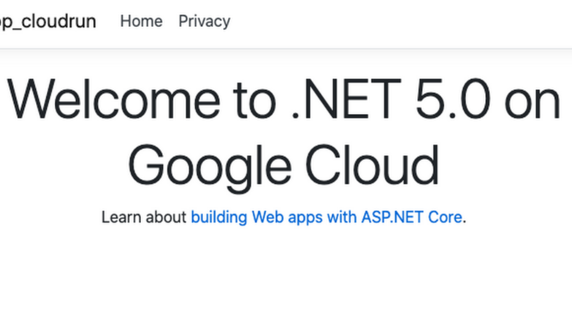 .NET 5.0 on Google Cloud